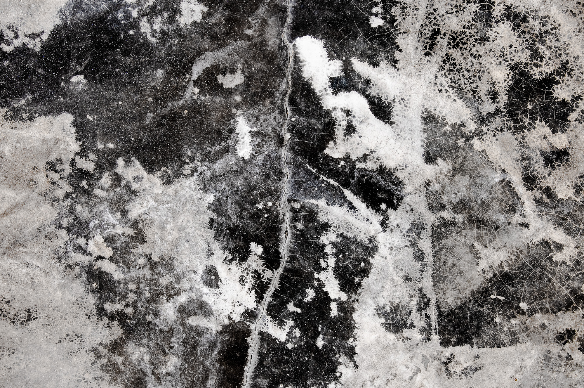 DSC 7566